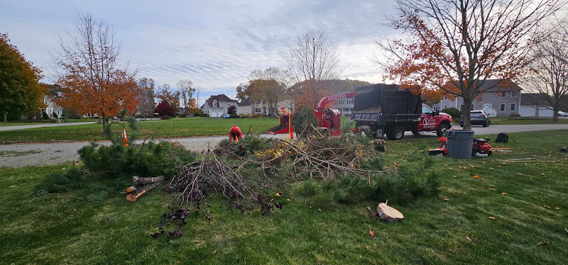 SID Professional Tree Service LLC