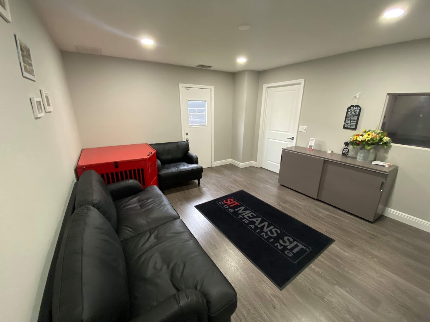 Sit Means Sit Dog Training Tampa photo 38