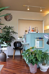 hair & heal's coco-roa（ココロア）