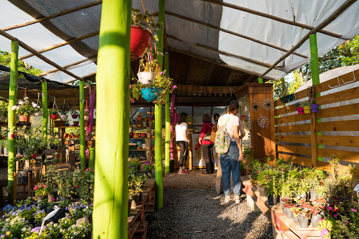 Vivero El Pecán - Foto 1