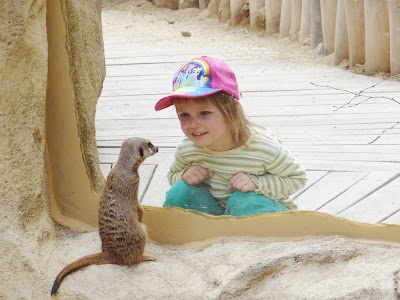 Photos of Zoo Hoyerswerda