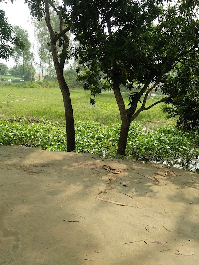 Photos of North merundi Horirampur Manikganj