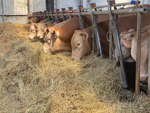 Photo n°33 de Au Fil du Couteau à Méteren (Traiteur)