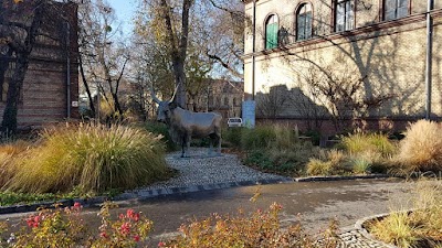Photos of University of Veterinary Medicine