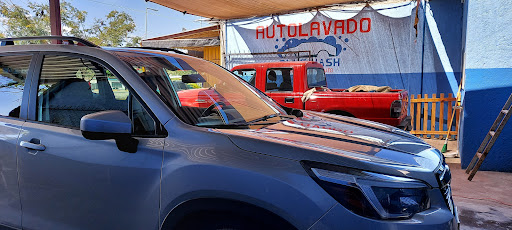Lava Autos Blue Wash - Thumbnail