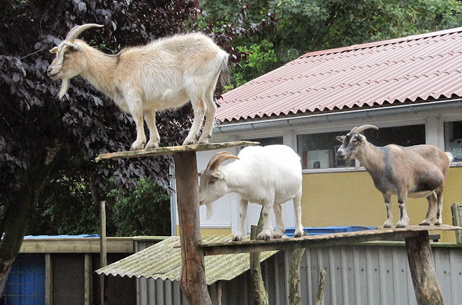 Danhostel Sønderborg Vollerup - Hotel