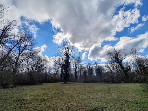 Réserve naturelle nationale de la forêt d'Offendorf - Thumbnail