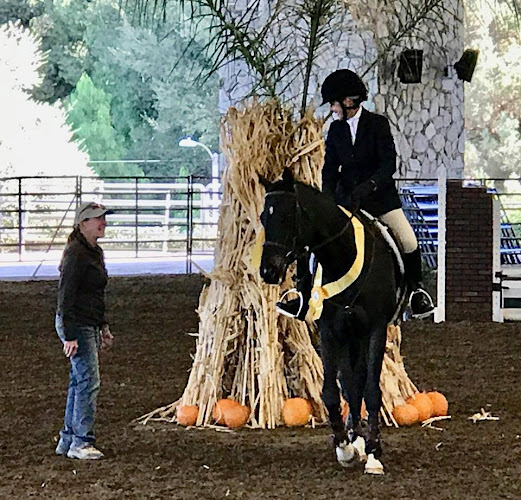 Showcase Training Stables