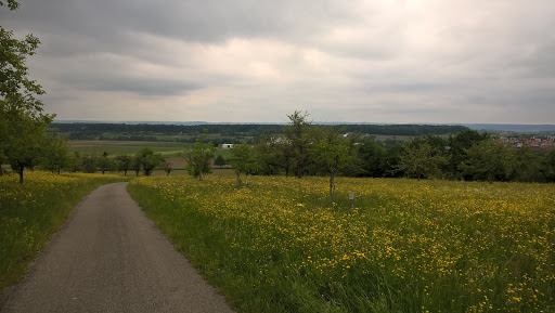 Nussbaum-Lehrpfad - Thumbnail