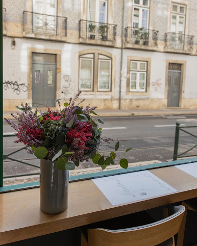 Misc by Tartar-ia by null