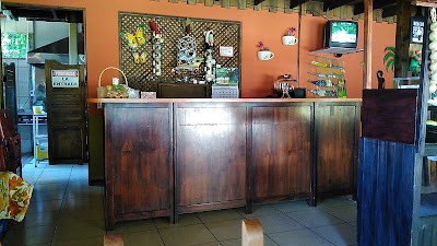 Photos of Bongos