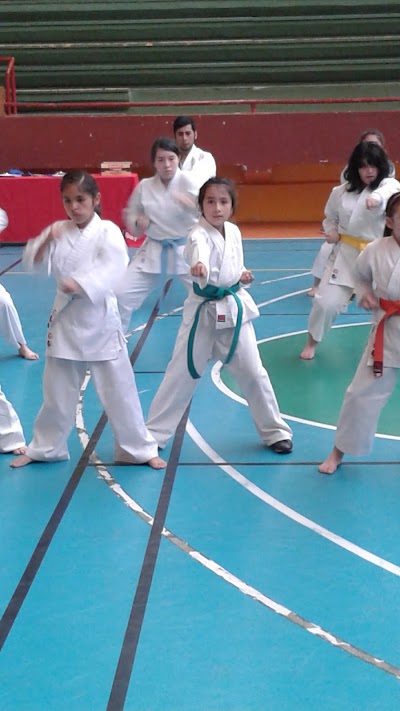 Photos of Gimnasio Municipal Bernardo O'Higgins
