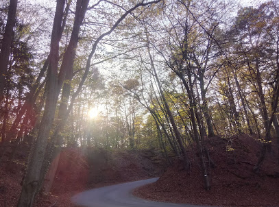 Dipl.-Psych. Thomas F. Lehmann