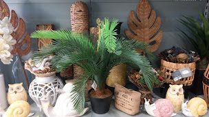 Photo n°9 de Main Verte à Canet-en-Roussillon (Jardinerie)