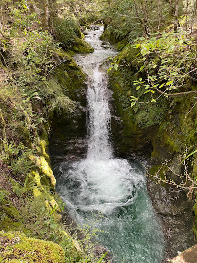 Mt Crichton Loop Track