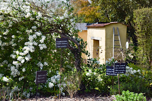 Photo n°13 de Les Jardins De Brocéliande à Bréal-sous-Montfort (Parc)