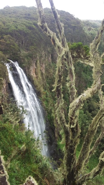 Photos of Aberdare National Park Mutubio Gate