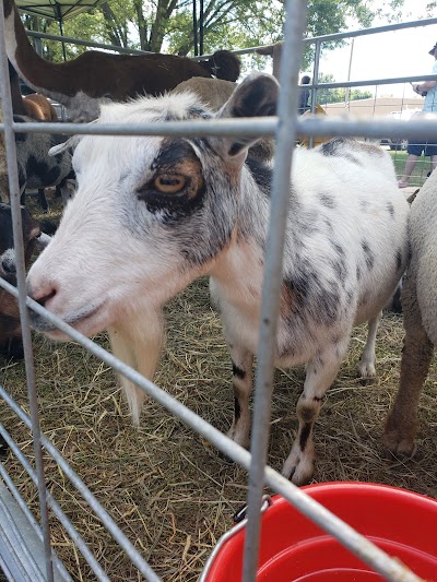 Webster County Fairgrounds