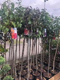 Photo n°29 de Bricomarché Romilly Sur Seine à Romilly-sur-Seine (Magasin de poêles à bois)