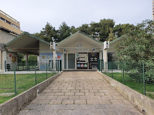 Photo n°3 de L'académie des jouets à Marseille ()