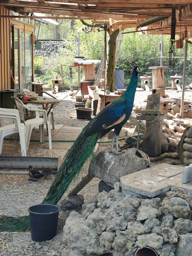 Kleintierzucht Horb - Thumbnail