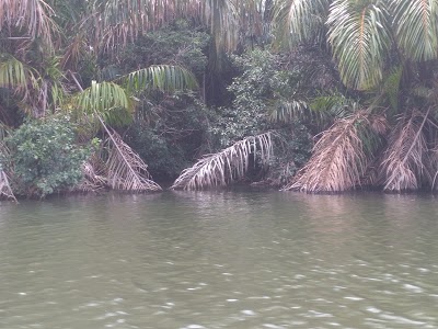 Photos of PACUARE NATURE RESERVE