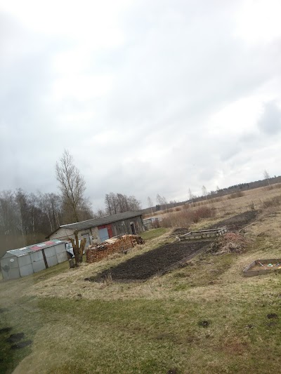 Photos of Kilksamaa