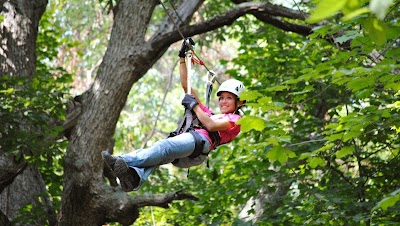 Skyward Adventures Zipline Tours