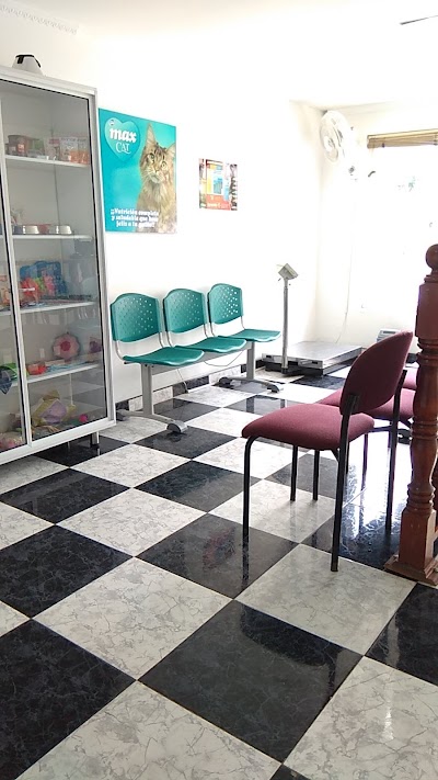 Photos of PIEDRAHITA DR. VETERINARY CLINIC
