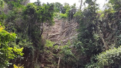 Photos of Hiking Trail