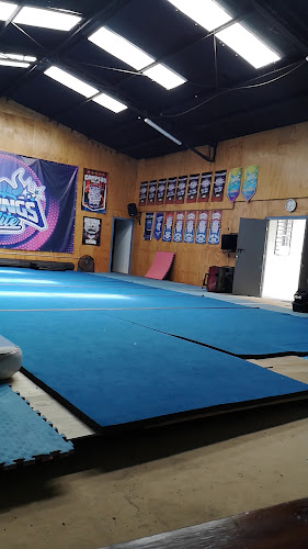 Opiniones de Vikings Elite Center en Temuco - Gimnasio