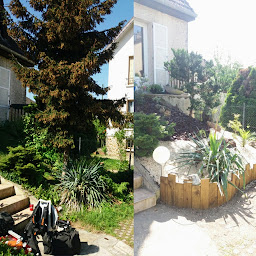 Photo n°2 de Hera Paysage à Gagny (Service d'élagage)