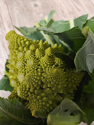 Photo n°10 de Ferme Bio Reynard à Mollans-sur-Ouvèze (Ferme bio)