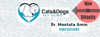 Photos of Cats & Dogs Vet Clinic