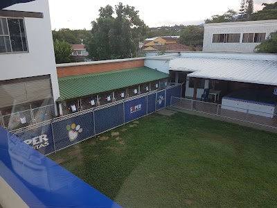 Photos of SUPER PETS Garden City headquarters