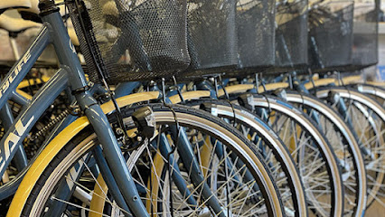 Hyras Skellefteå - Cykeluthyrning & skiduthyrning