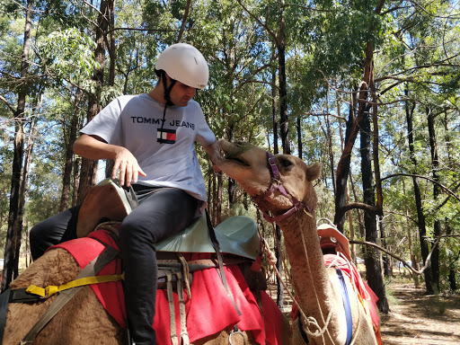 WA TOURS - Thumbnail