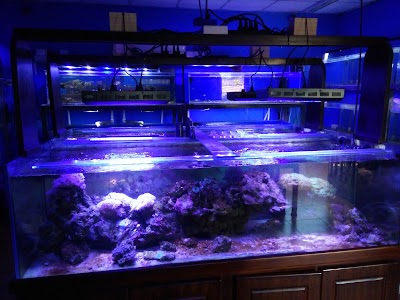 Photos of Acuario Triple AAA