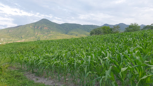 Rancho la Garañonera