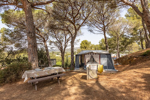 Photo n°4 de Camping du Grand Batailler à Bormes-les-Mimosas (Terrain de camping)