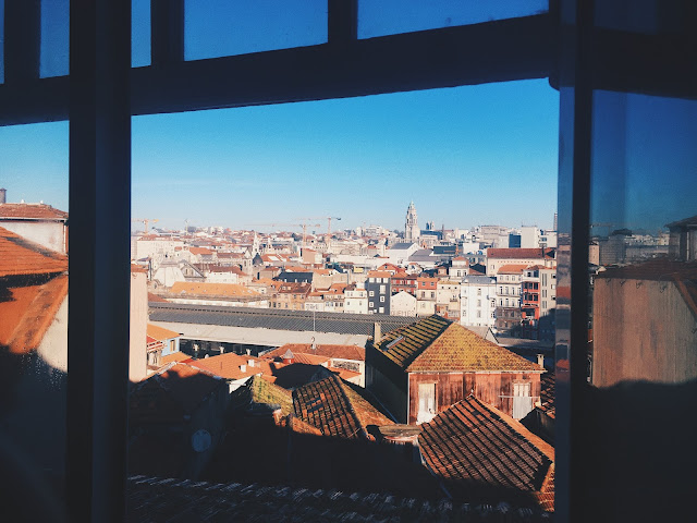 Cats Hostel Porto by null