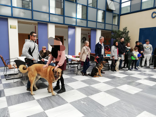 Hotel para perros RESIDENCIA CANINA CADIZ (Adiestramiento Canino El Almendral)(incineración de mascotas animales Cádiz)
