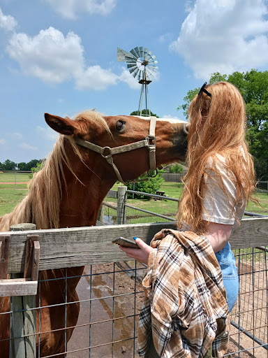 Wunderlich Farm - Visual