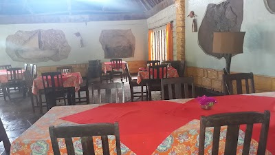 Photos of Boko Boko Porini