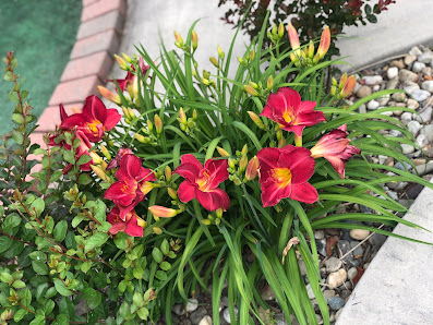 Photo Lakeside Mini Golf By owner