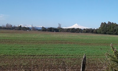 Photos of Ferias Araucania S.a Victoria