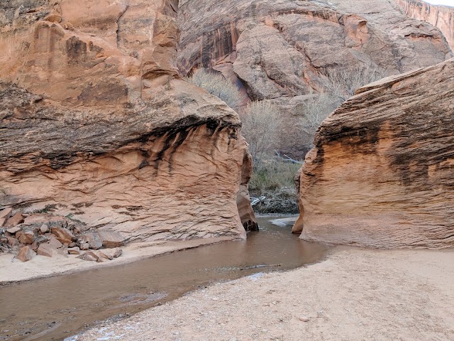 Coyote Gulch