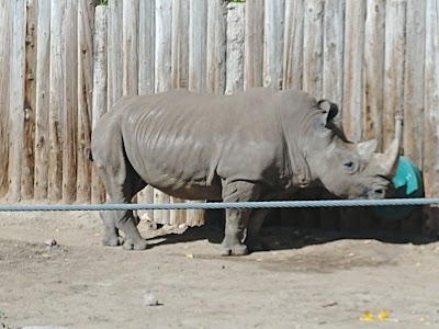 Hogle Zoo Administration Office