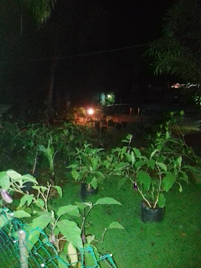 Photos of Thampa Hotel