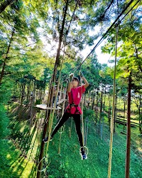 フォレストアドベンチャー 秩父